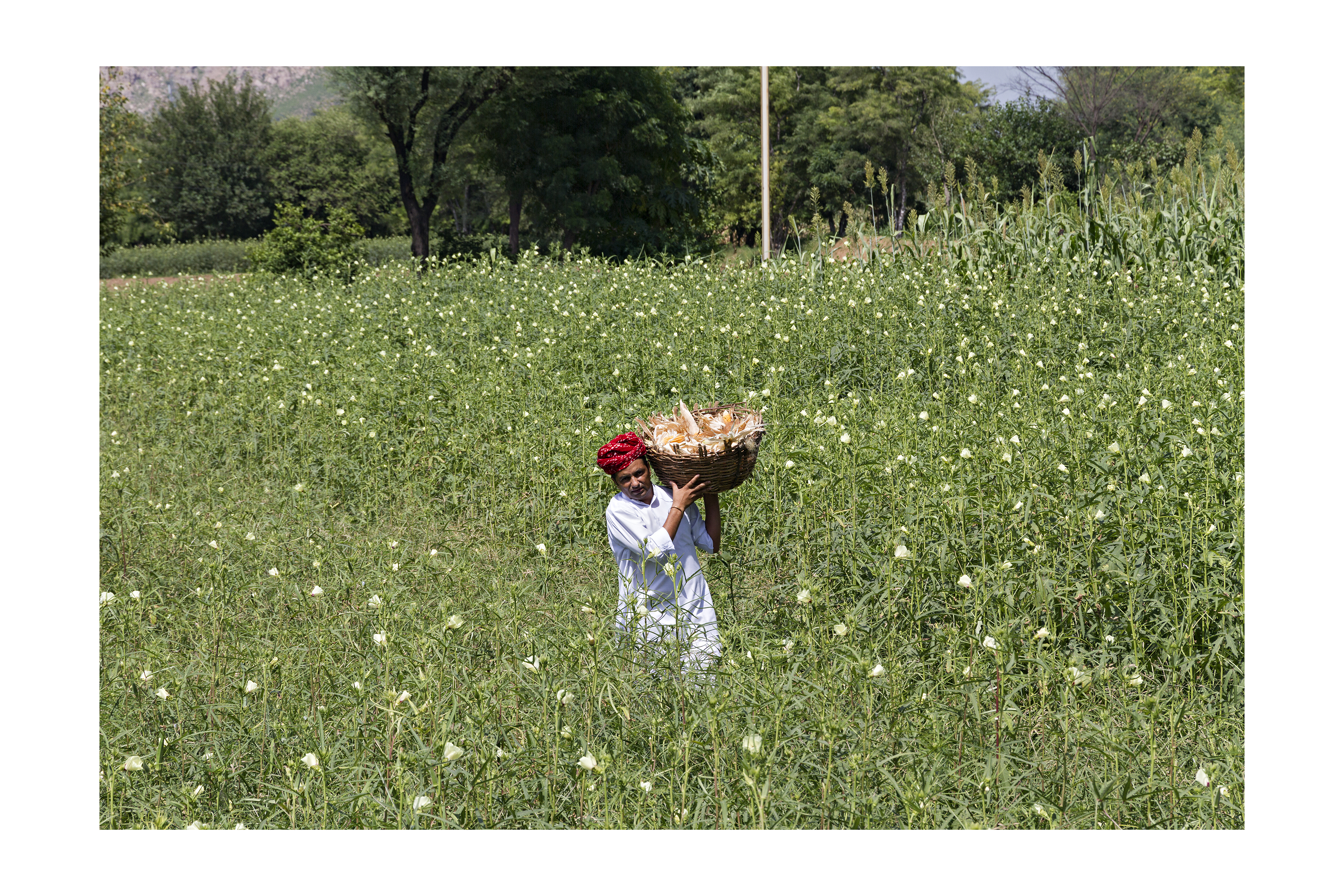 Image from Samode Palace